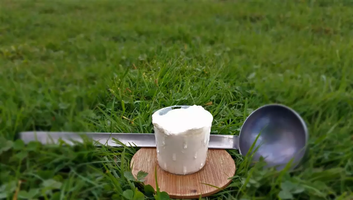 Fromages blancs faiselles