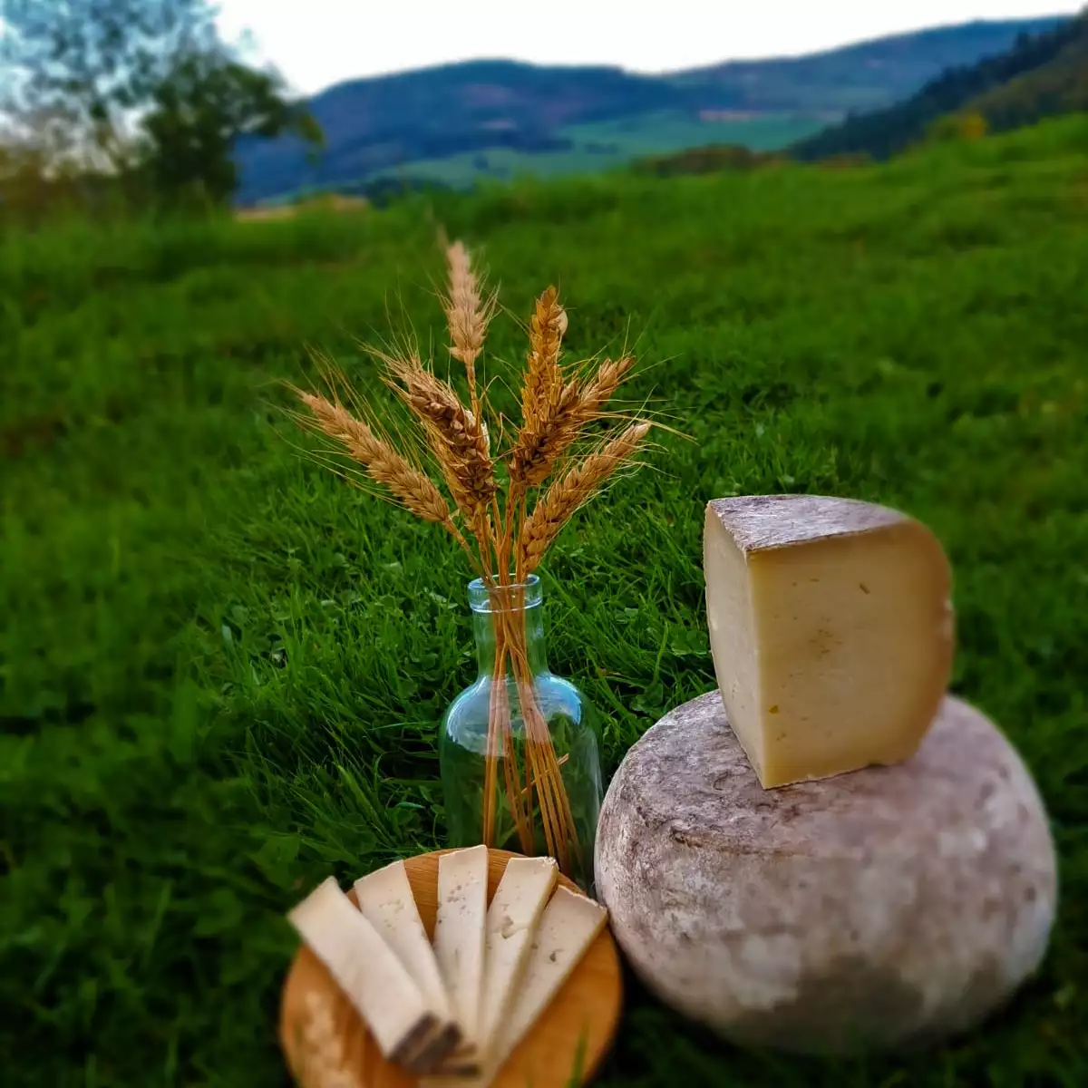Tomme